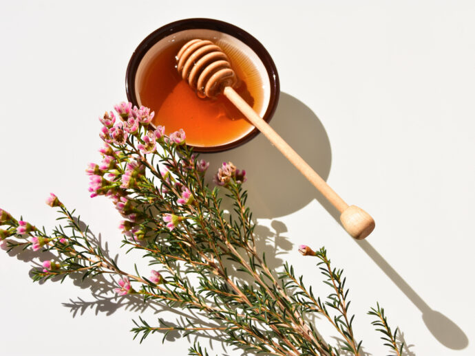 What You Need to Know About Manuka Honey\'s Immunity Benefits