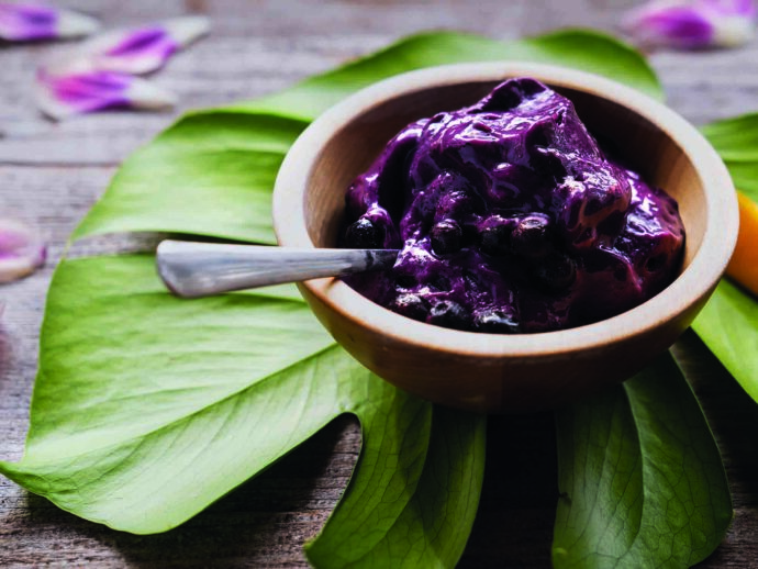 Supplement Your Day: Blueberry and Mango Protein Ice Cream